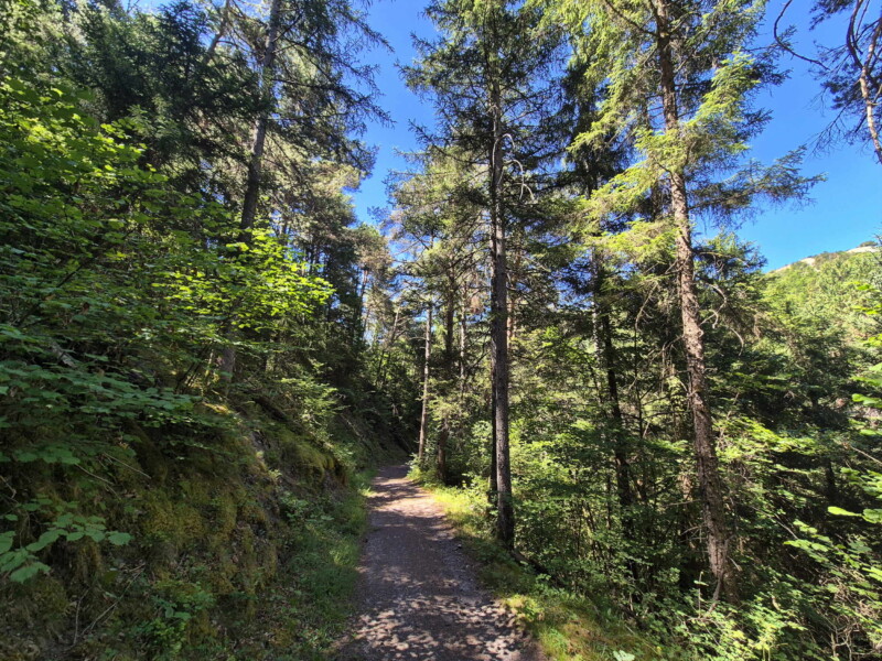 Descente à la Lienne. Randonnée bisse de Clavau.