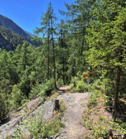 🏞️ Bisse de Clavau – Ayent