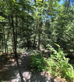 🏞️ Bisse de Clavau – Ayent