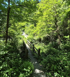 🏞️ Bisse de Clavau – Ayent