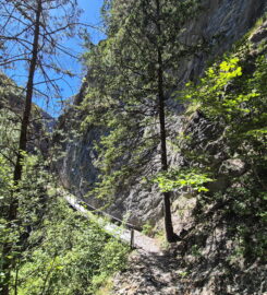 🏞️ Bisse de Clavau – Ayent