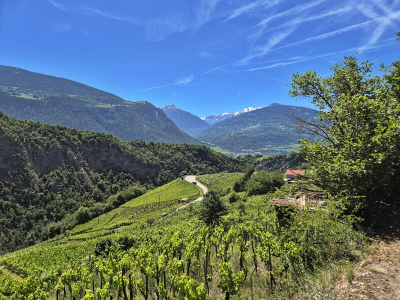 Vallée de la Lienne.Randonnée bisse de Clavau.