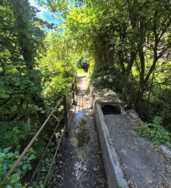 🏞️ Bisse de Clavau – Ayent
