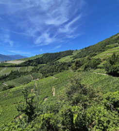 🏞️ Bisse de Clavau – Ayent