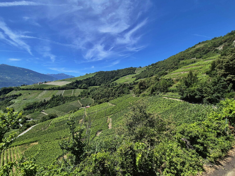 Vallée de la Lienne. Randonnée bisse de Clavau.