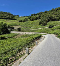 🏞️ Bisse de Clavau – Ayent