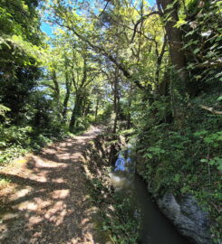 🏞️ Bisse de Clavau – Ayent