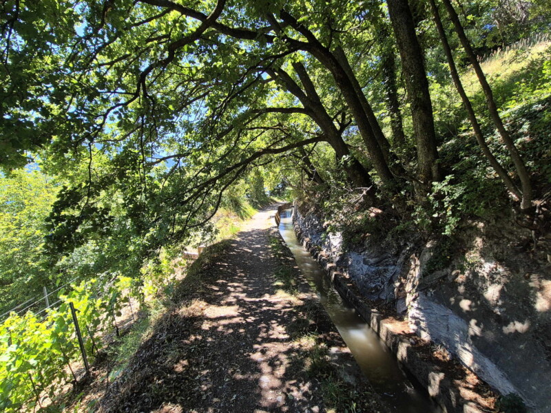 Vallée du Rhône - Ayent & Grimisuat. Randonnée bisse de Clavau.