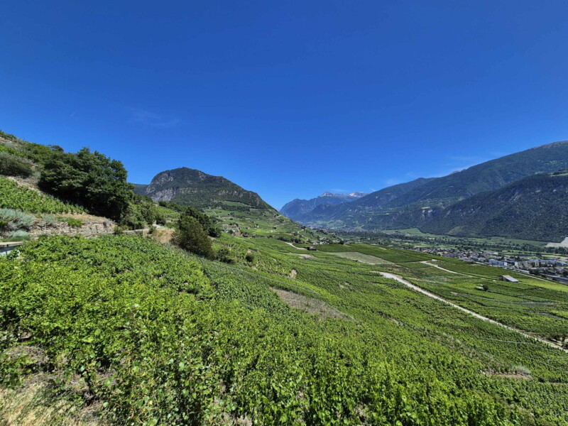Vallée du Rhône - Ayent & Grimisuat. Randonnée bisse de Clavau.
