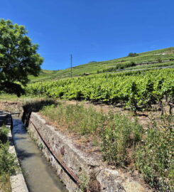 🏞️ Bisse de Clavau – Ayent