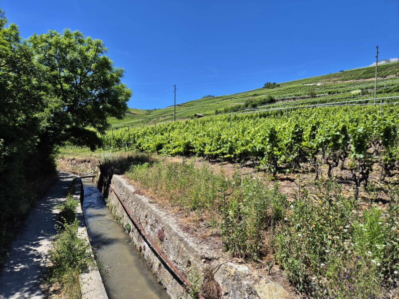 Vallée du Rhône - Ayent & Grimisuat. Randonnée bisse de Clavau.