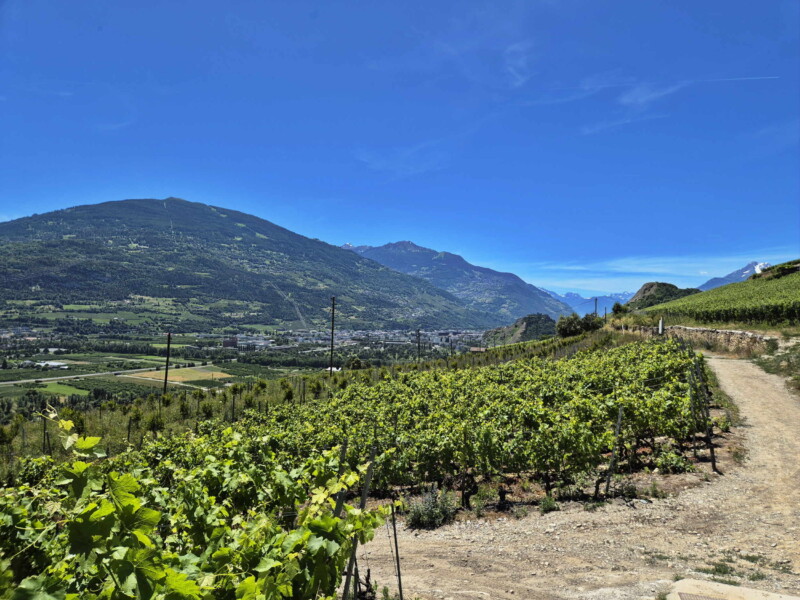 Vallée du Rhône - Ayent & Grimisuat. Randonnée bisse de Clavau.