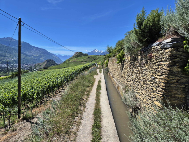 Vallée du Rhône - Ayent & Grimisuat. Randonnée bisse de Clavau.