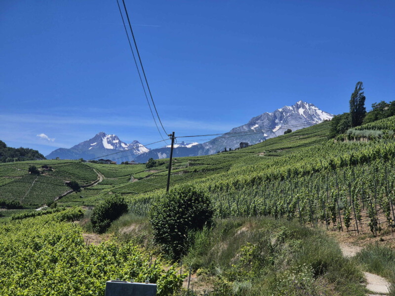 Vallée du Rhône - Ayent & Grimisuat. Randonnée bisse de Clavau. Le Grand Chavalard sur la gauche et Haut de Cry sur la droite.