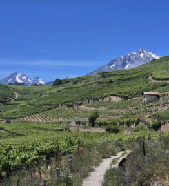 🏞️ Bisse de Clavau – Ayent
