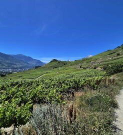 🏞️ Bisse de Clavau – Ayent