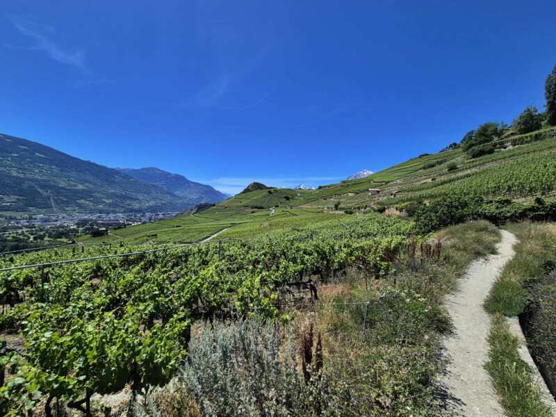 Vallée du Rhône - Ayent & Grimisuat. Randonnée bisse de Clavau.