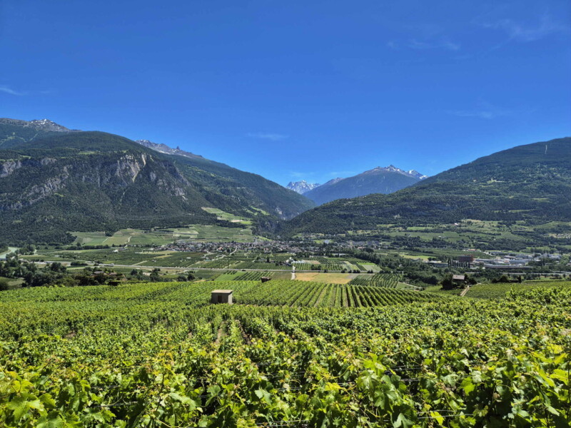 Vallée du Rhône - Ayent & Grimisuat. Randonnée bisse de Clavau.