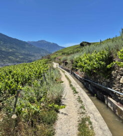 🏞️ Bisse de Clavau – Ayent