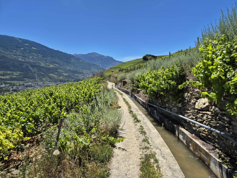 Vallée du Rhône - Ayent & Grimisuat. Randonnée bisse de Clavau.