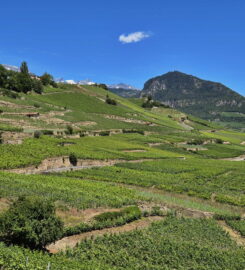 🏞️ Bisse de Clavau – Ayent