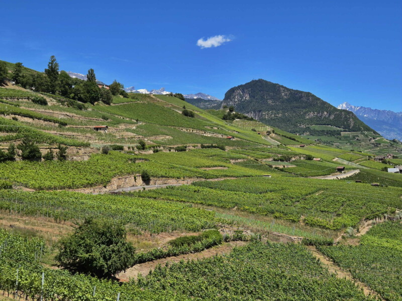Vallée du Rhône - Ayent & Grimisuat. Randonnée bisse de Clavau.
