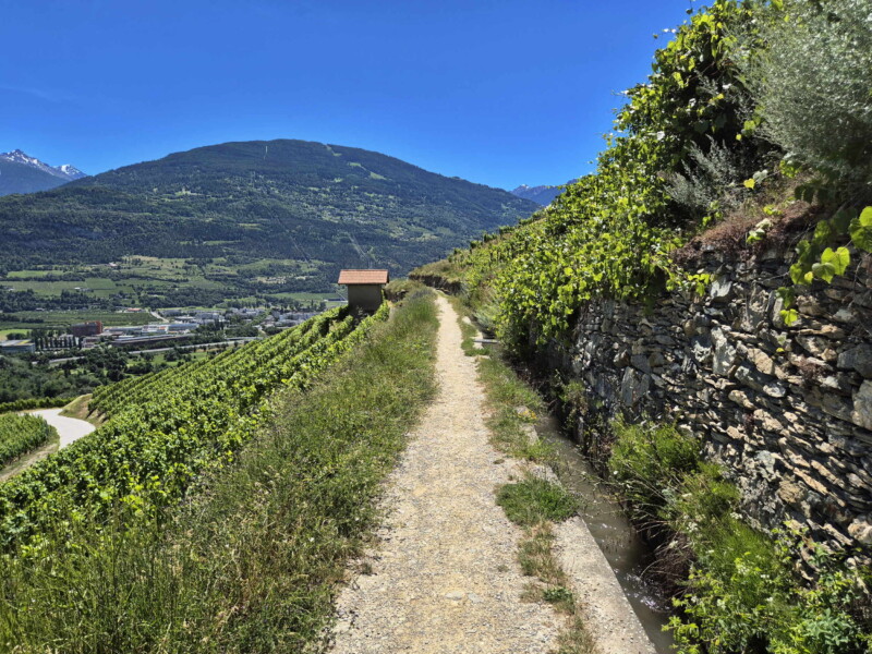 Vallée du Rhône - Ayent & Grimisuat. Randonnée bisse de Clavau.