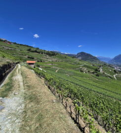 🏞️ Bisse de Clavau – Ayent