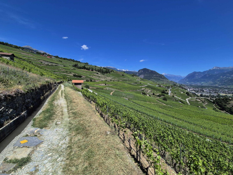Vallée du Rhône - Ayent & Grimisuat. Randonnée bisse de Clavau.