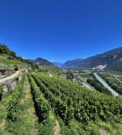 🏞️ Bisse de Clavau – Ayent