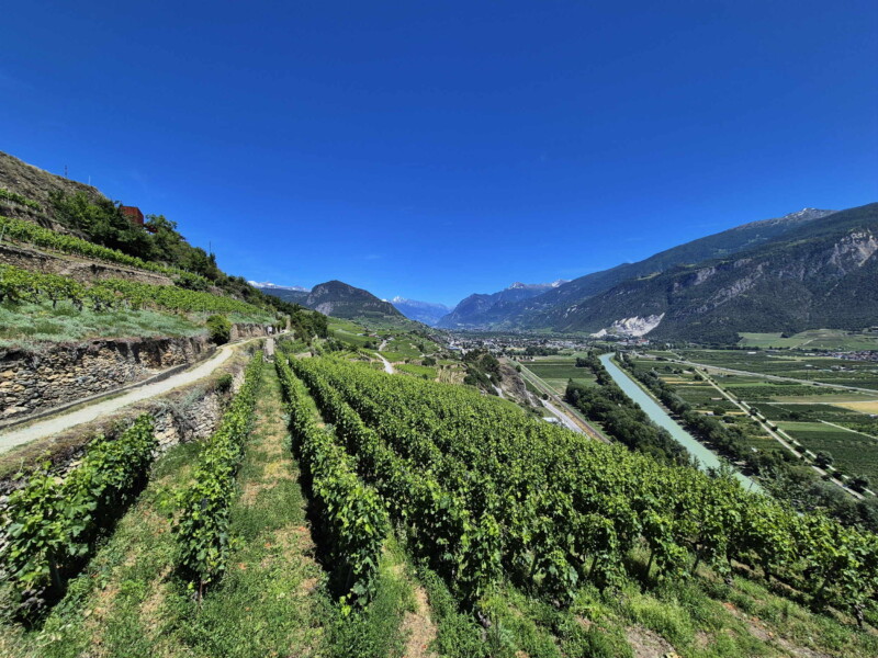 Vallée du Rhône - Sion. Randonnée bisse de Clavau.