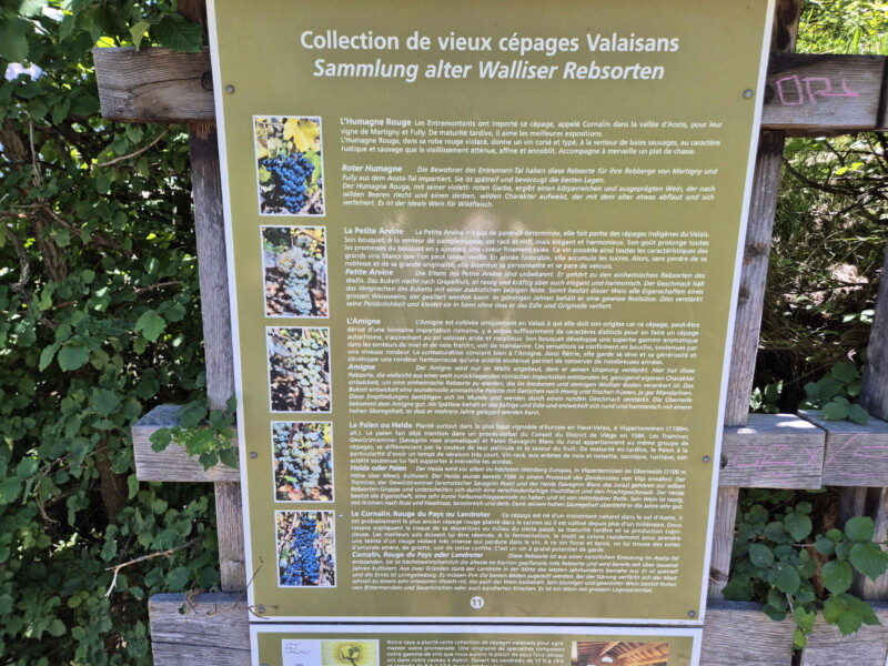 Un panneau didactique le long du parcours. Randonnée bisse de Clavau.