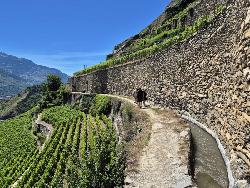 Les fameux murs en pierres sèches. Vallée du Rhône - Sion. Randonnée bisse de Clavau.