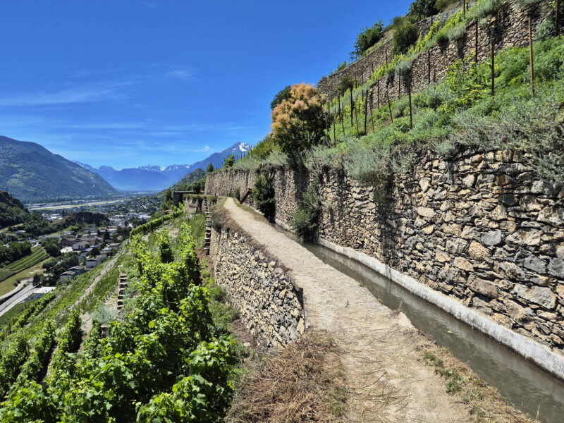 Vallée du Rhône - Sion. Randonnée bisse de Clavau.