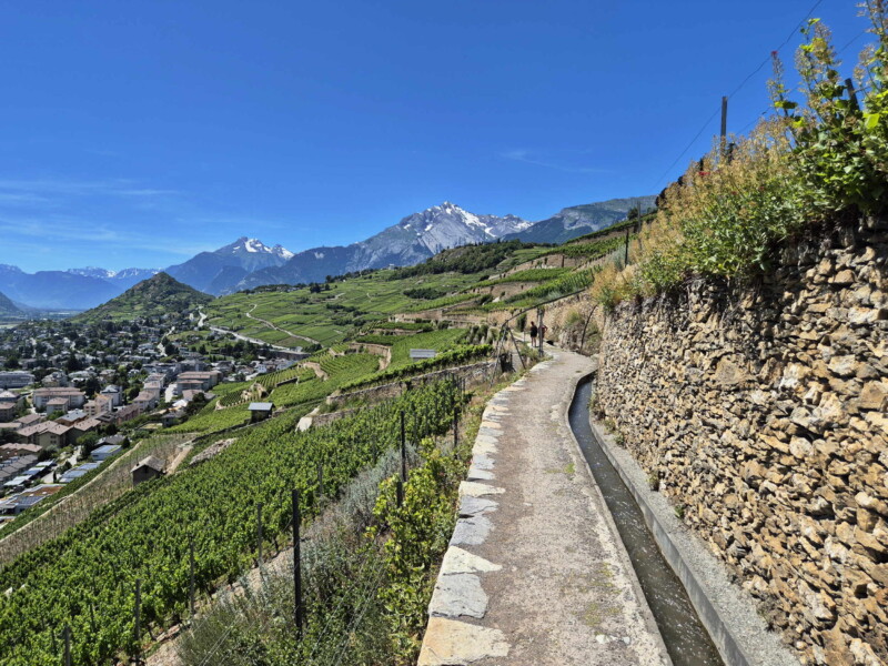 Vallée du Rhône - Sion. Randonnée bisse de Clavau.