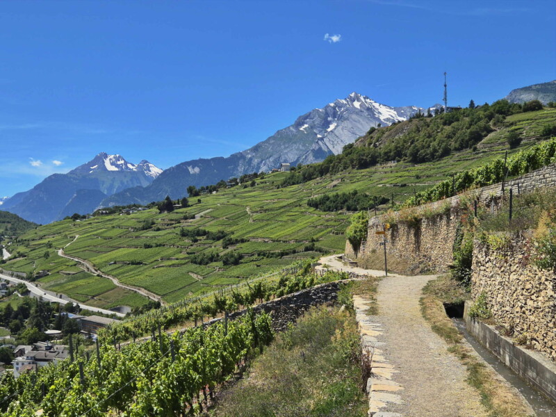 Vallée du Rhône - Sion. Randonnée bisse de Clavau.