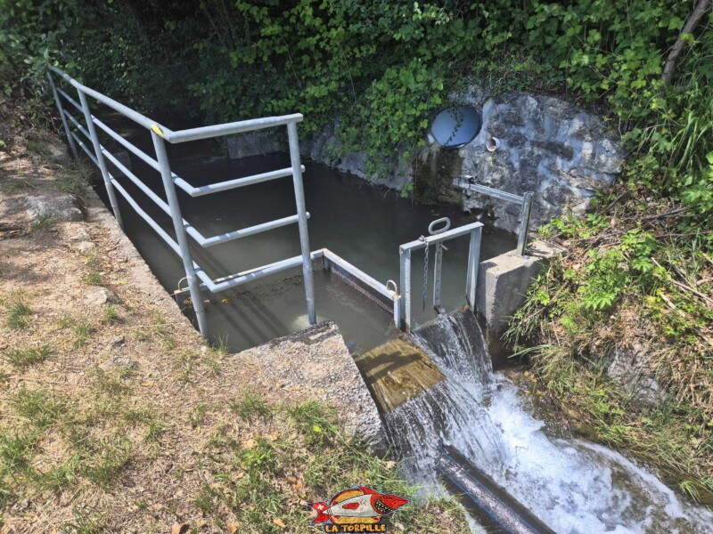 La première partie de la balade après la route d'Arbaz jusqu'à la route de Cudre. Bisse de Grimisuat