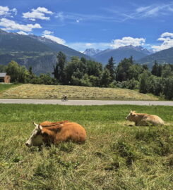 🏞️ Bisse de Grimisuat