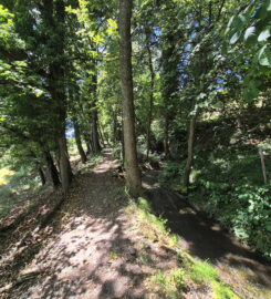 🏞️ Bisse de Grimisuat