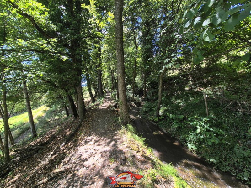 La première partie de la balade après la route d'Arbaz jusqu'à la route de Cudre. Bisse de Grimisuat