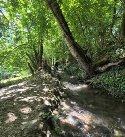 🏞️ Bisse de Grimisuat