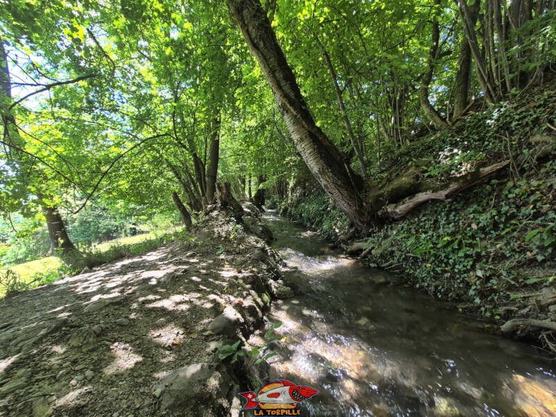 La première partie de la balade après la route d'Arbaz jusqu'à la route de Cudre. Bisse de Grimisuat