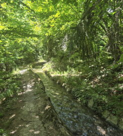 🏞️ Bisse de Grimisuat