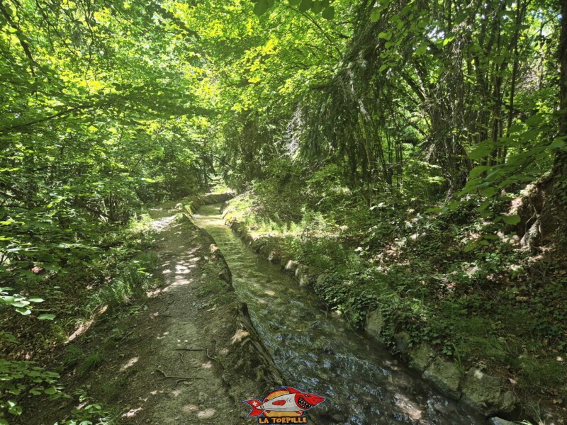 La première partie de la balade après la route d'Arbaz jusqu'à la route de Cudre. Bisse de Grimisuat