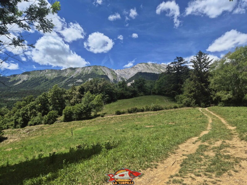 La première partie de la balade après la route d'Arbaz jusqu'à la route de Cudre. Bisse de Grimisuat