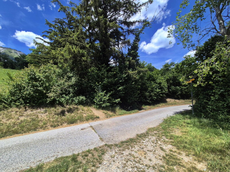 Le chemin de la route de Comolire jusqu'à la route de la Coudre. Bisse de Grimisuat