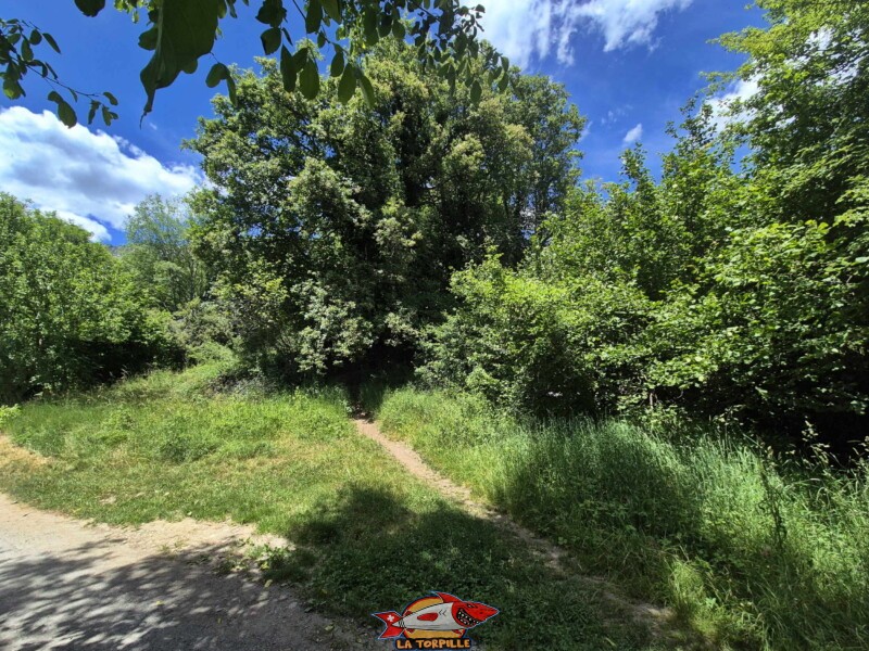 Le chemin entre le premier et le deuxième croisement avec la route de Cudre. Bisse de Grimisuat