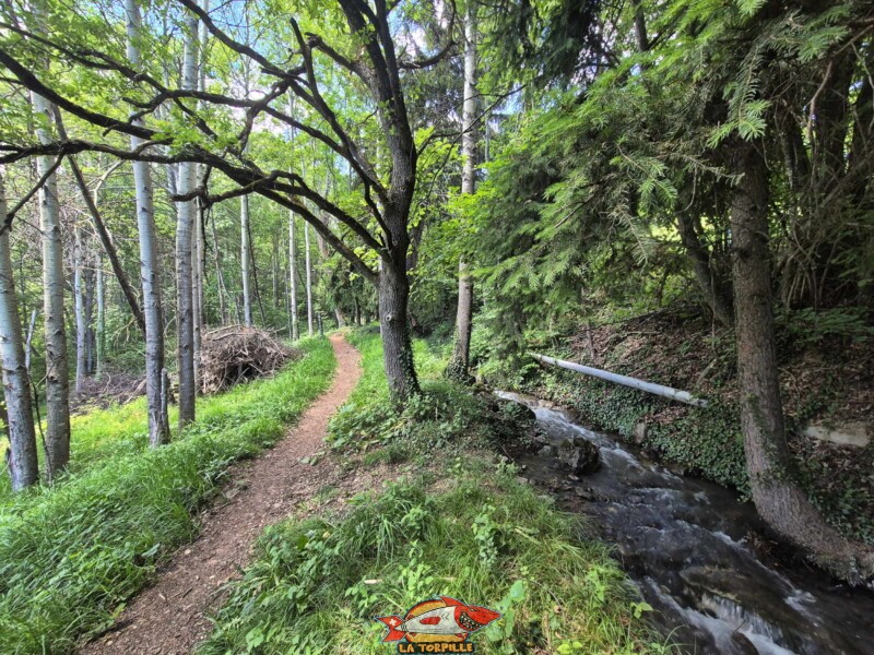 Le chemin entre le deuxième et le troisième croisement avec la route de Cudre. Bisse de Grimisuat