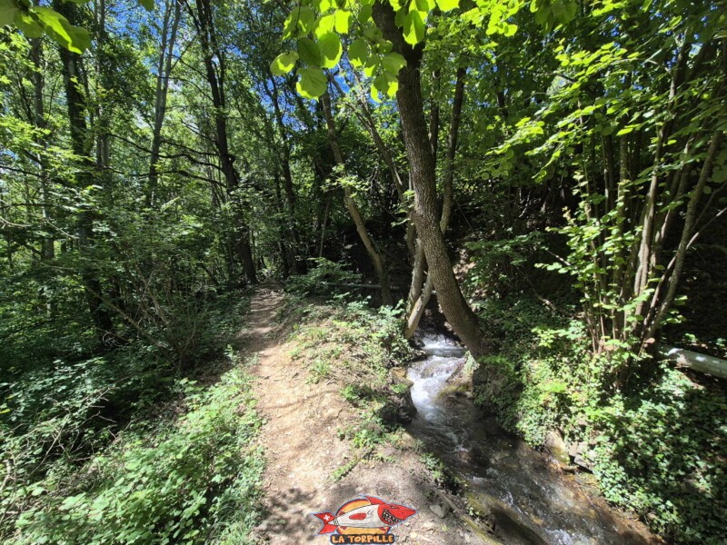 Le chemin entre le deuxième et le troisième croisement avec la route de Cudre. Bisse de Grimisuat