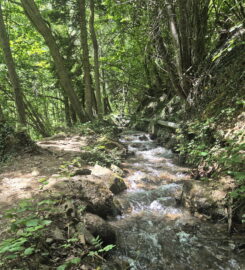 🏞️ Bisse de Grimisuat